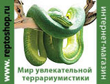 �������� ���������� Reptoshop.ru