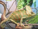 Открыть категорию